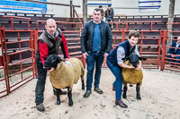 Longtown Ram Fair-30